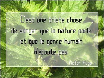 Pensées du jour